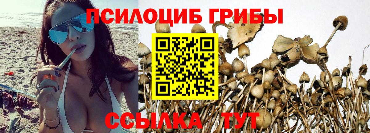 Псилоцибиновые грибы MAGIC MUSHROOMS Усть-Илимск